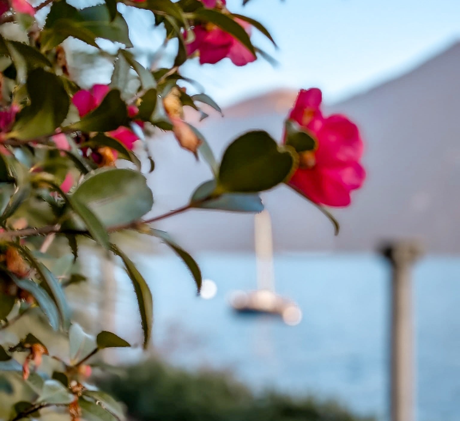 tessin im frühling, blick auf den park villa heleneum mit rosenblüten im vordergrund und säulen und einem boot im hintergrund