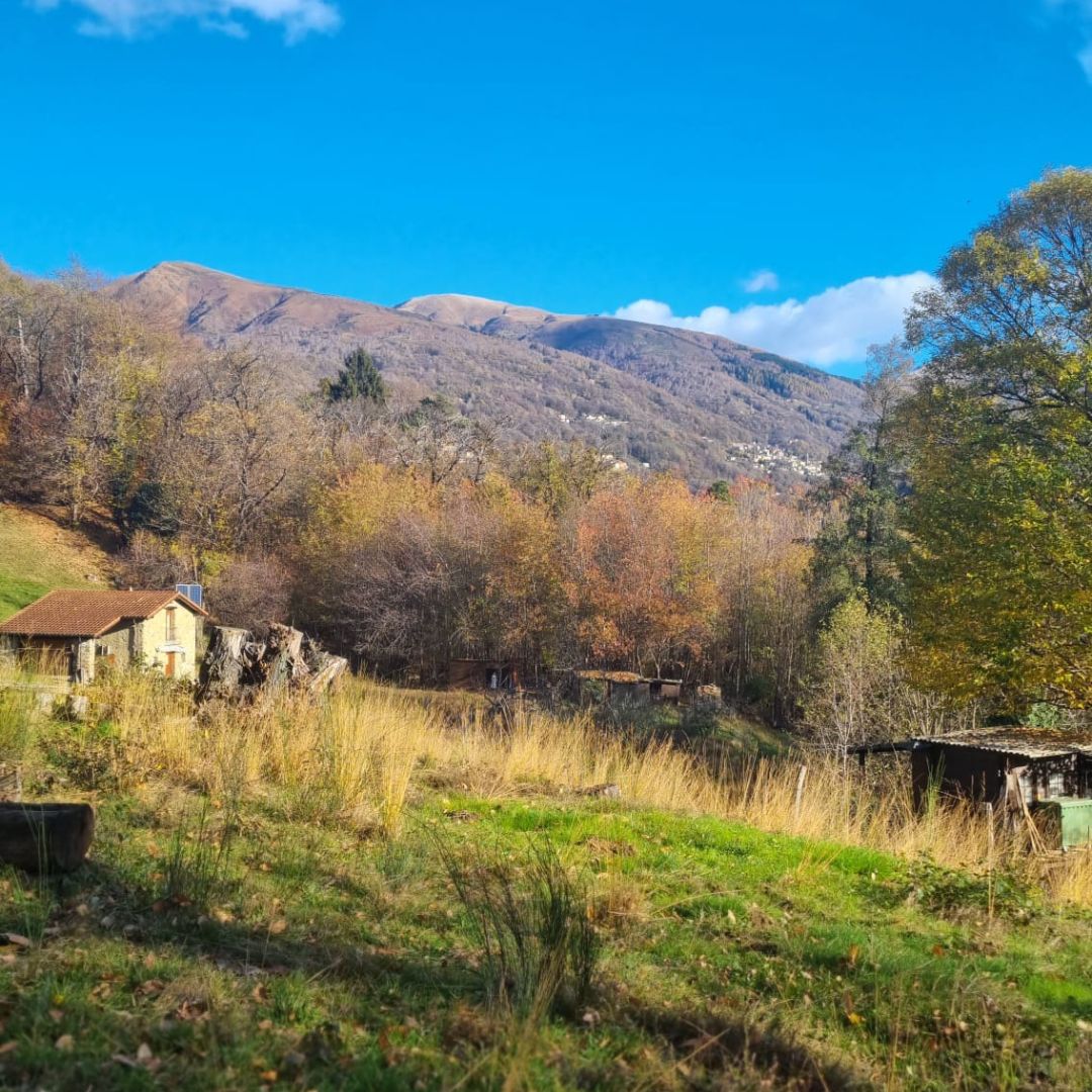 blick auf die natur der capriasca im tessin in bunten herbstfarben